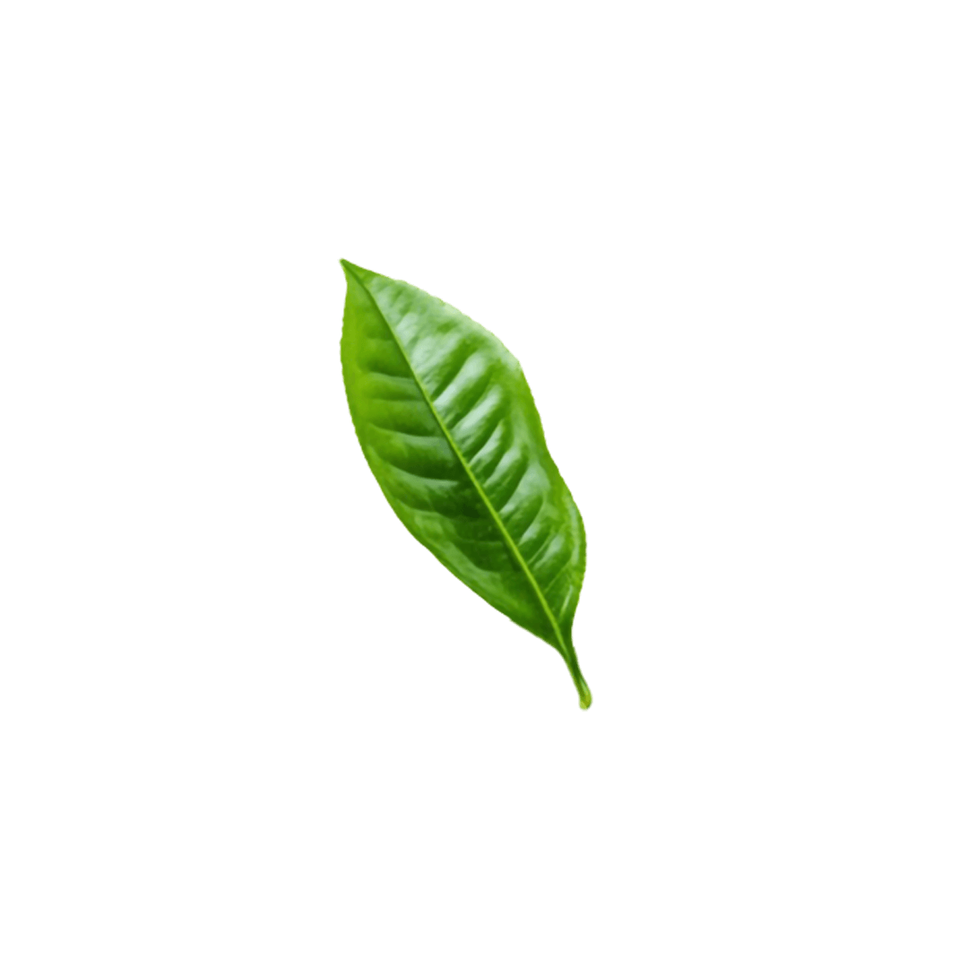 Tea leaf
