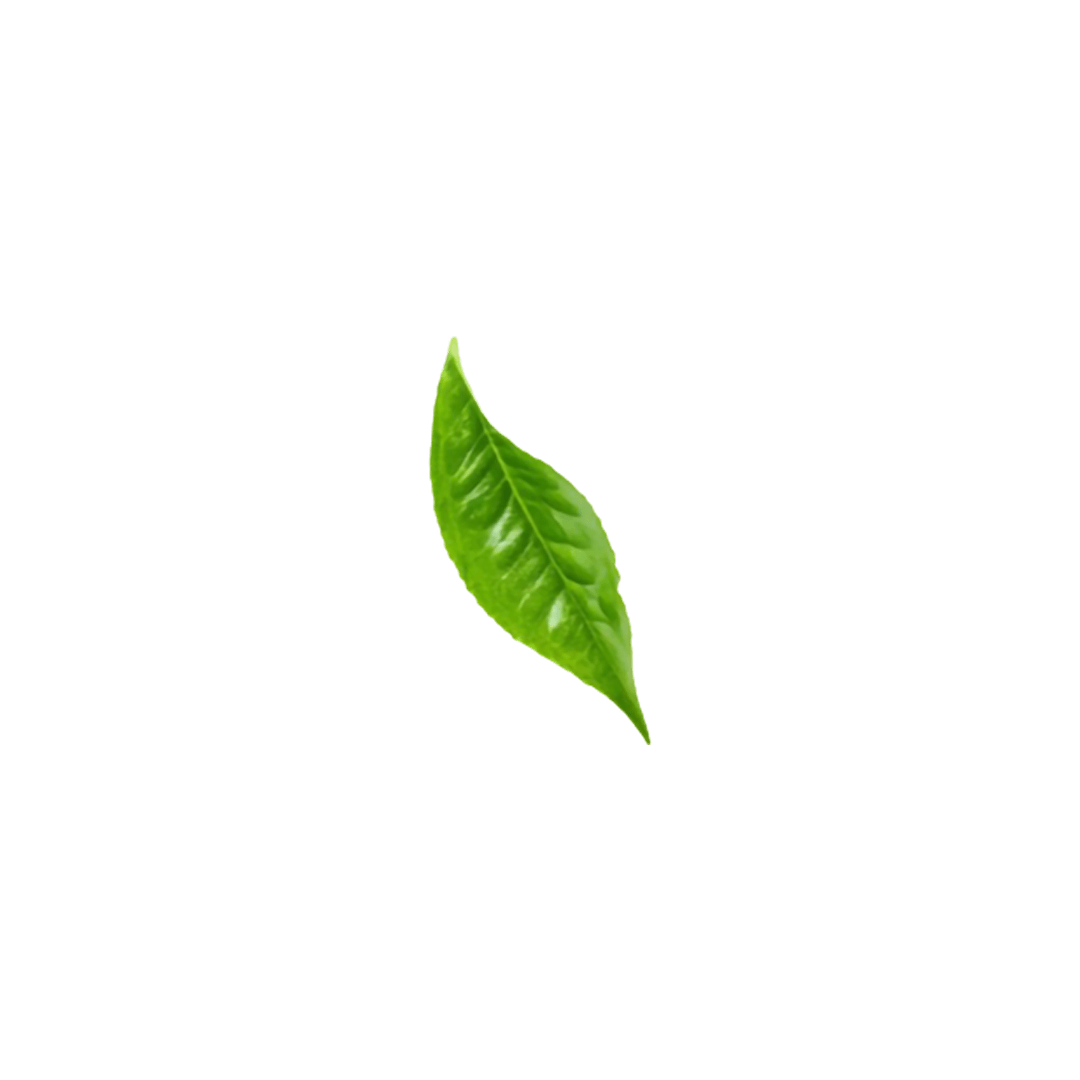 Tea leaf