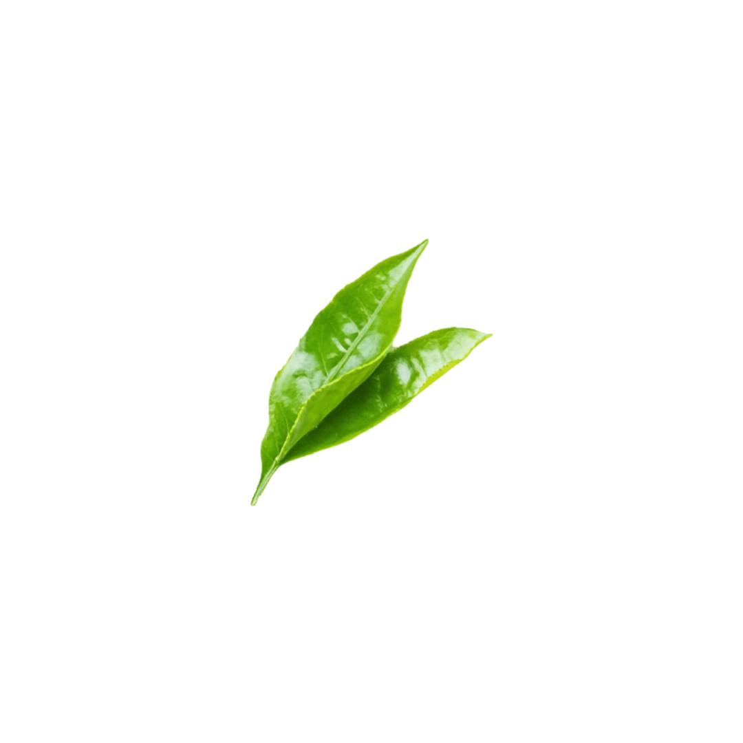 Tea leaf